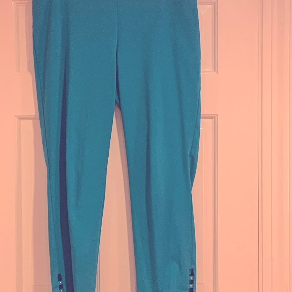 Ladies ankle length pants